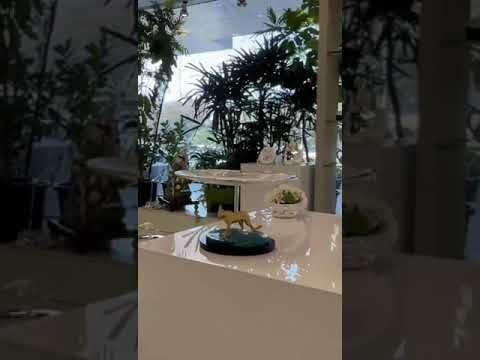 Ravissant Mumbai Launch